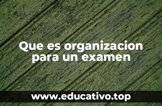 Que es organizacion para un examen