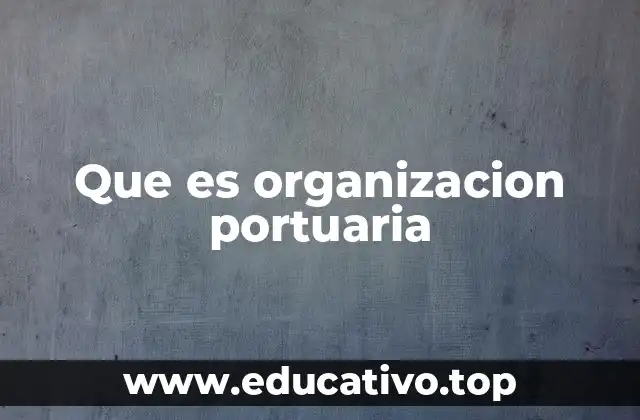 Que es organizacion portuaria