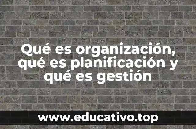 Qué es organización, qué es planificación y qué es gestión