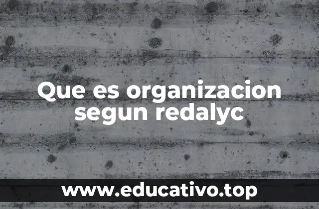 Que es organizacion segun redalyc
