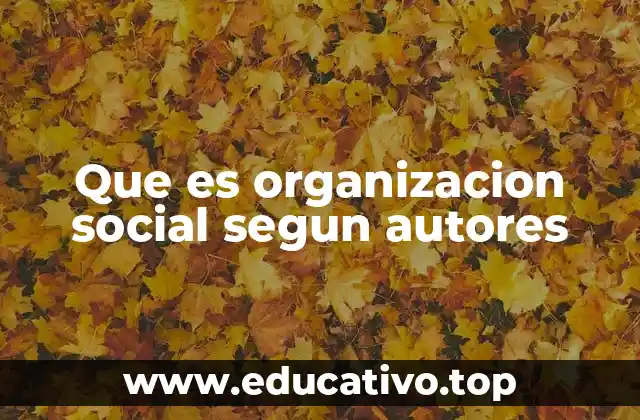 Que es organizacion social segun autores