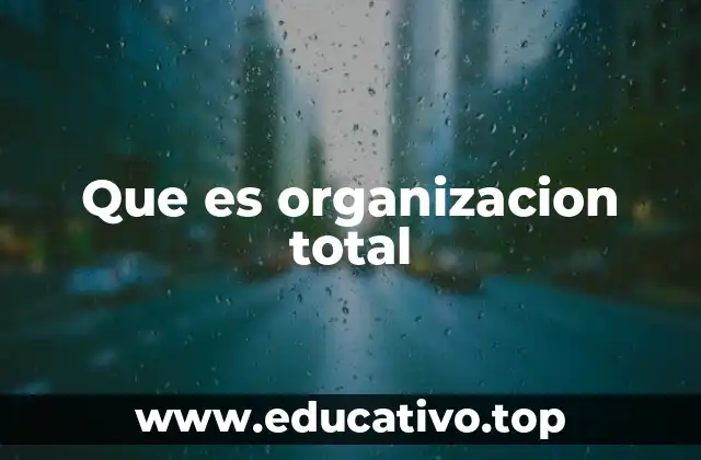 Que es organizacion total