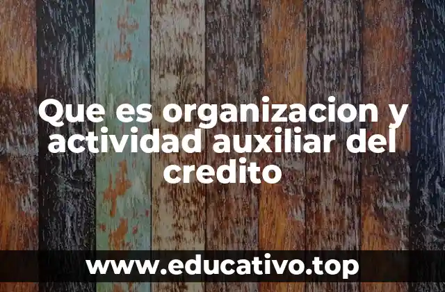 Que es organizacion y actividad auxiliar del credito