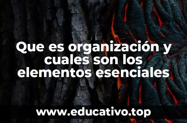 Estructura y dinámica de una organización funcional