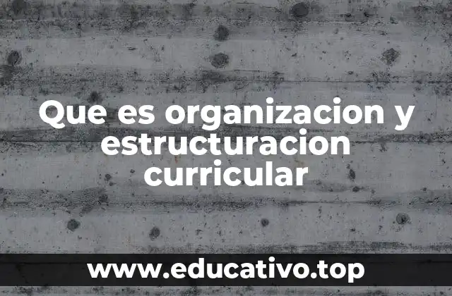 Que es organizacion y estructuracion curricular