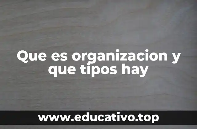 Que es organizacion y que tipos hay
