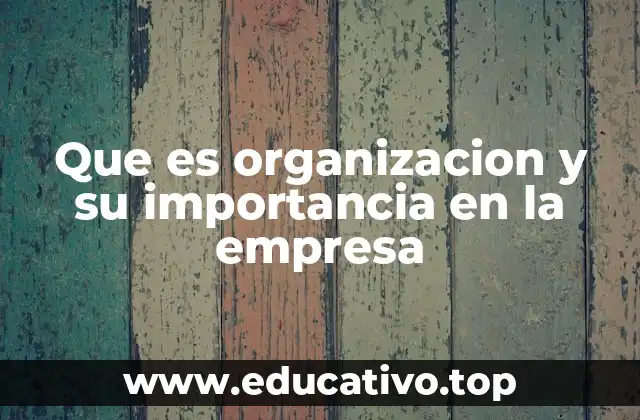 Que es organizacion y su importancia en la empresa