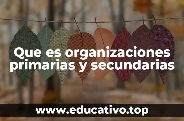 Que es organizaciones primarias y secundarias