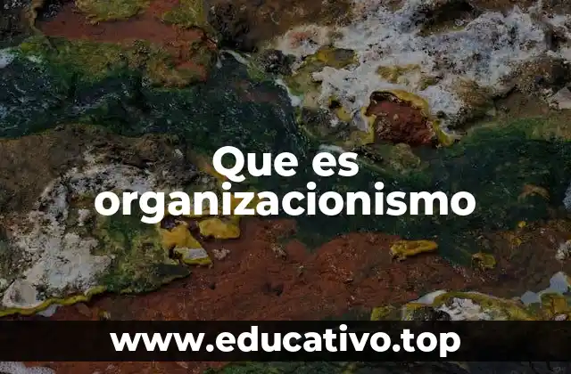 Que es organizacionismo