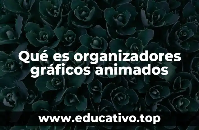 Qué es organizadores gráficos animados