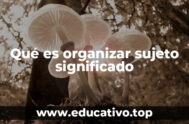 Qué es organizar sujeto significado
