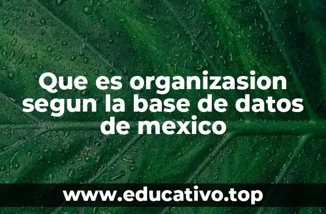 Que es organizasion segun la base de datos de mexico