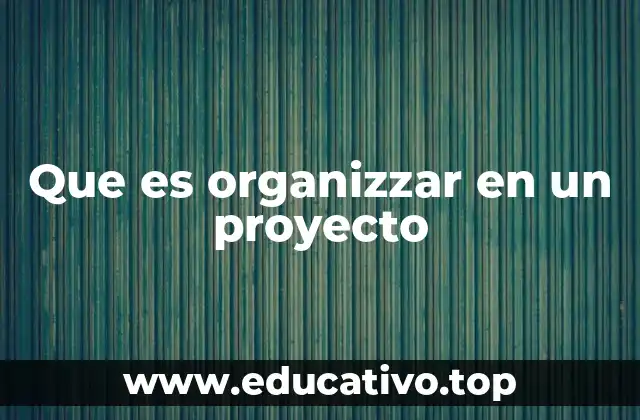 Que es organizzar en un proyecto