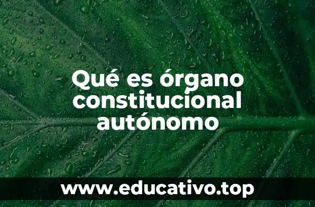 Qué es órgano constitucional autónomo