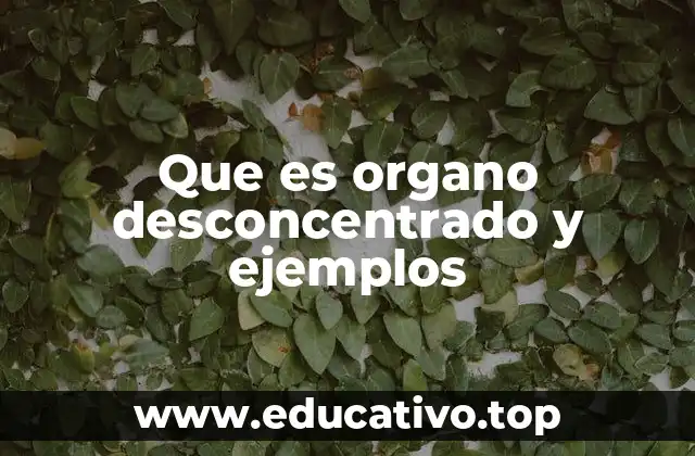 Que es organo desconcentrado y ejemplos