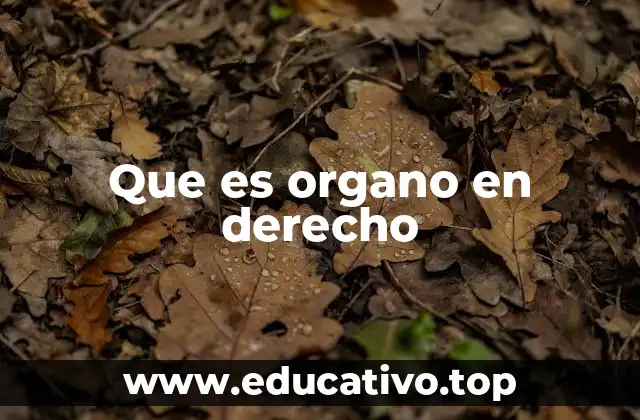 Que es organo en derecho