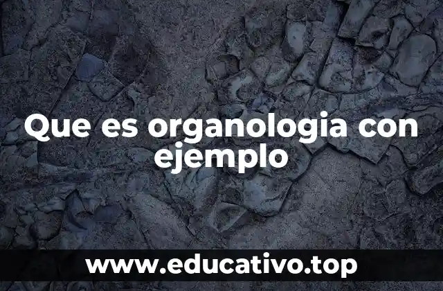 Que es organologia con ejemplo