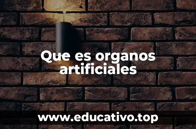 Que es organos artificiales