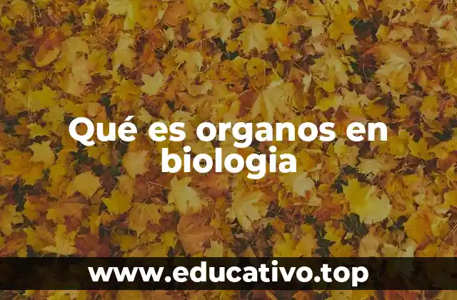 Qué es organos en biologia