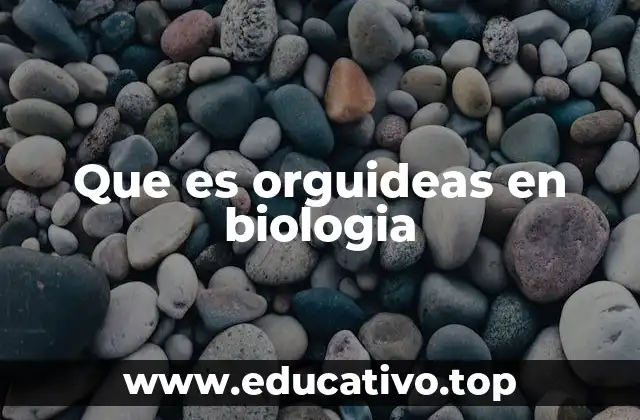 Que es orguideas en biologia
