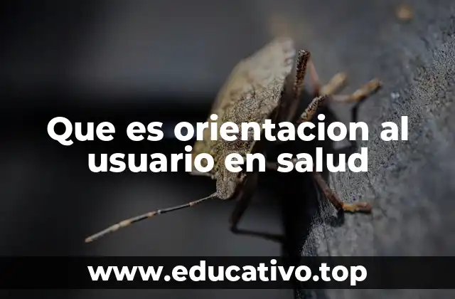 Que es orientacion al usuario en salud