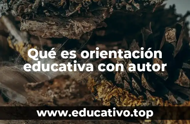 La importancia de la base teórica en la orientación educativa