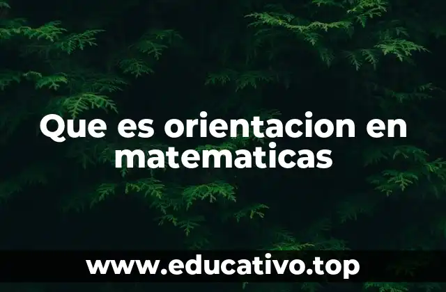 Que es orientacion en matematicas