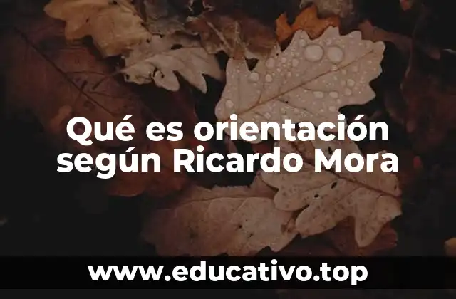 Qué es orientación según Ricardo Mora