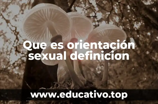 Diferencias entre orientación sexual e identidad de género