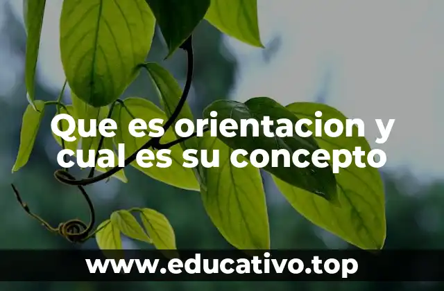 Que es orientacion y cual es su concepto