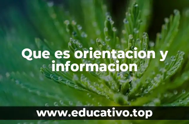 Que es orientacion y informacion
