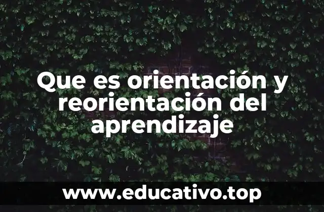 Que es orientación y reorientación del aprendizaje