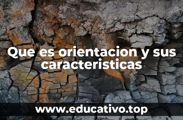Que es orientacion y sus caracteristicas