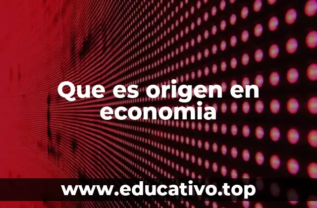 Que es origen en economia