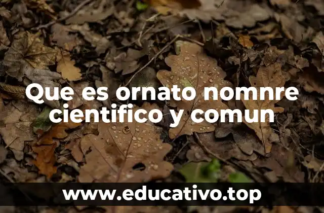 Que es ornato nomnre cientifico y comun