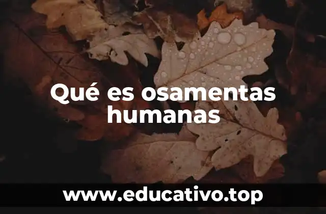 Qué es osamentas humanas