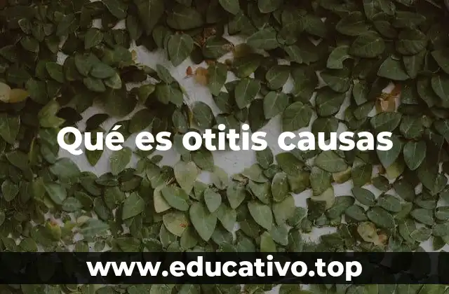 Qué es otitis causas