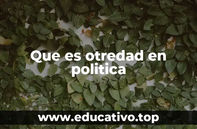 Que es otredad en politica