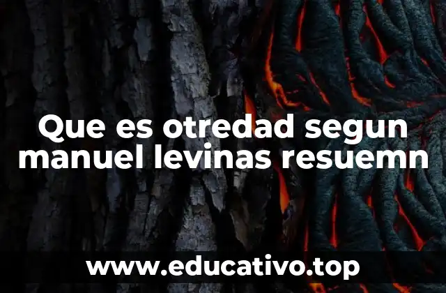 Que es otredad segun manuel levinas resuemn