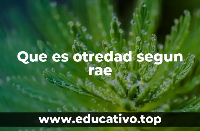 Que es otredad segun rae