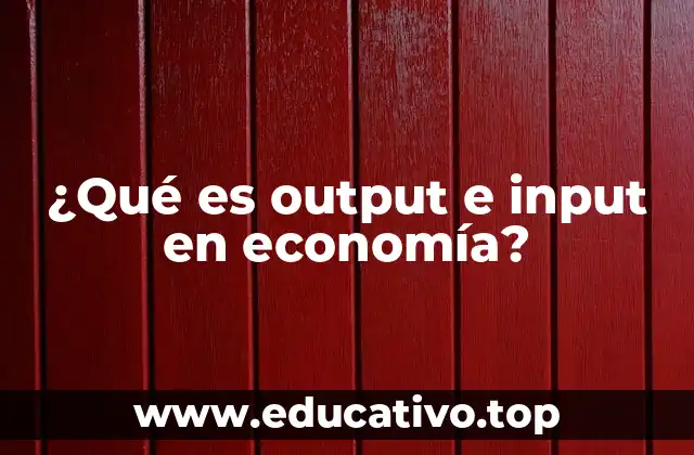 ¿Qué es output e input en economía?