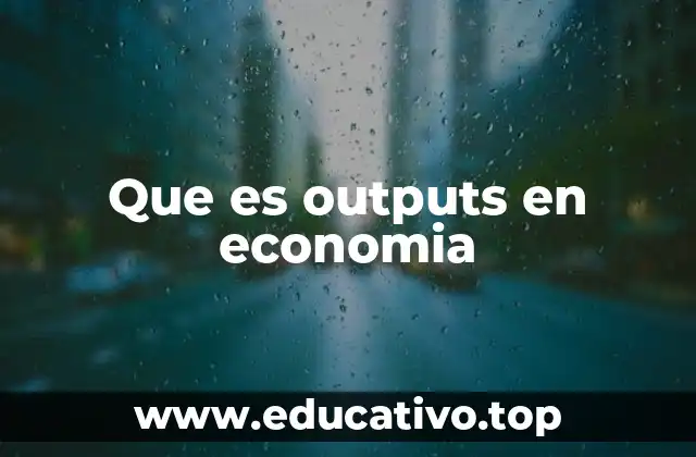 Que es outputs en economia