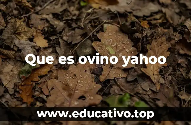 Que es ovino yahoo