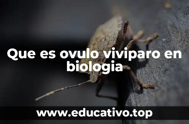 Que es ovulo viviparo en biologia
