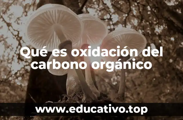 Qué es oxidación del carbono orgánico