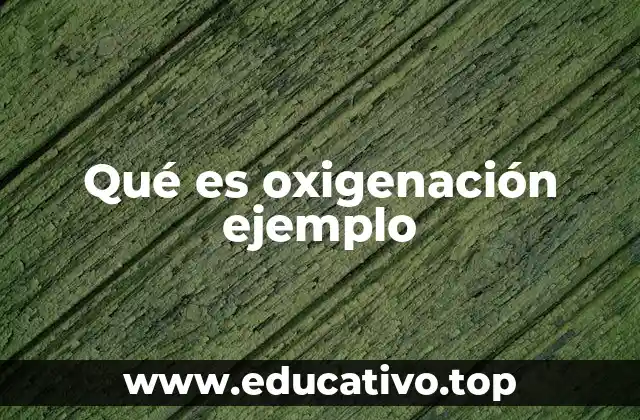 Qué es oxigenación ejemplo
