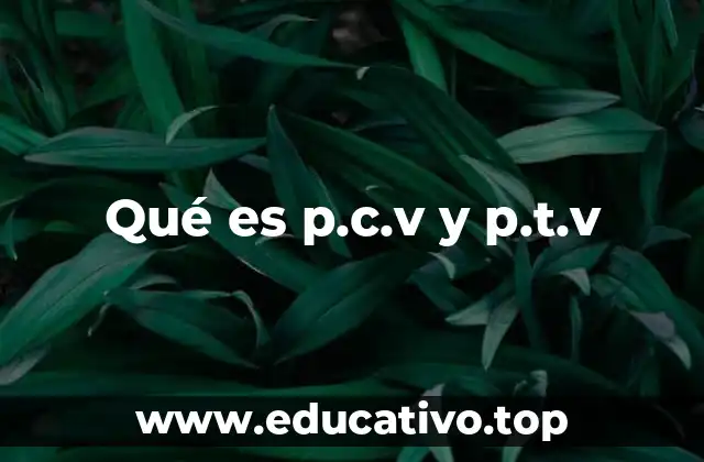 Qué es p.c.v y p.t.v
