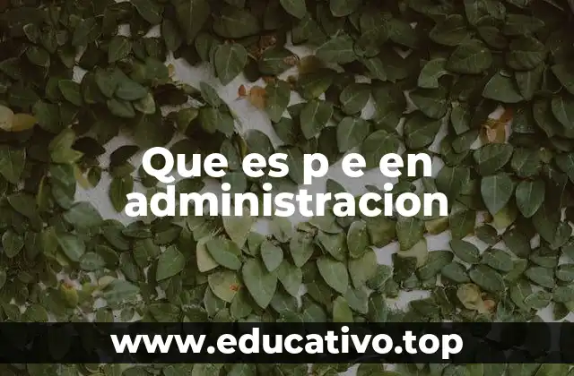 La importancia de entender P y E en el contexto organizacional