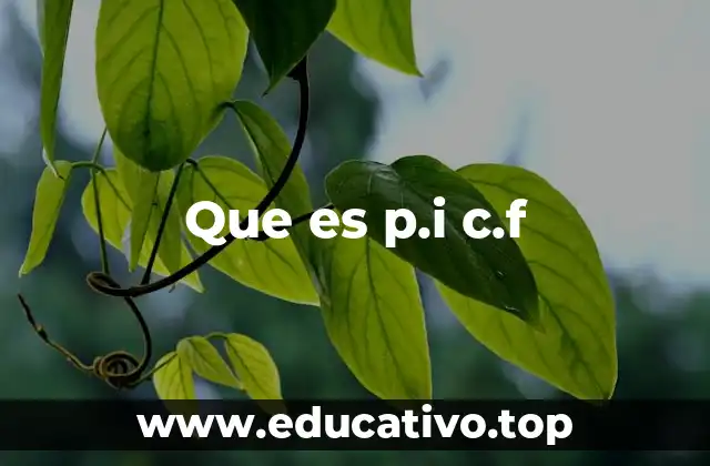 Que es p.i c.f