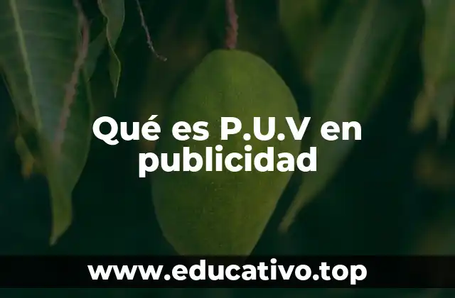 Qué es P.U.V en publicidad